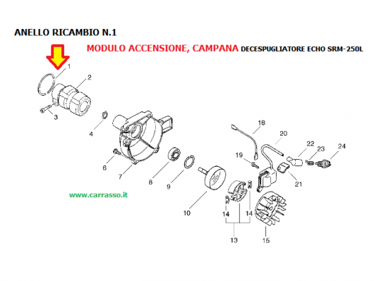 ./ANELLO_DECESPUGL_5472f37484808