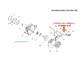 ./CAPPUCCIO_CANDEL_5472ffc568c54