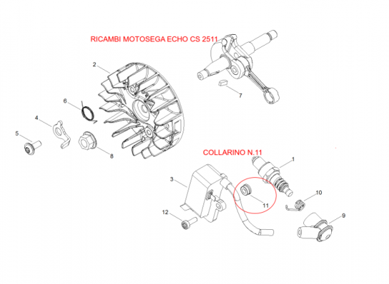 COLLARINO2511