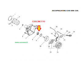 ./CUSCINETTO_DECES_5472f8054e06e