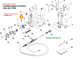 ./FERMO_ACCELERATO_547f39e96aabd