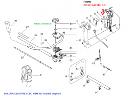 ./FERMO_ACCELERATO_54b01487efbec