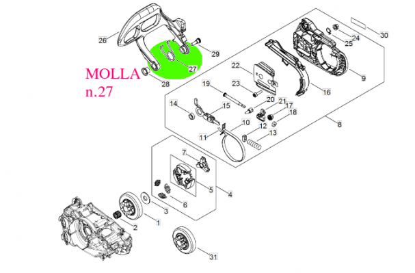 MOLLAFRENO2511