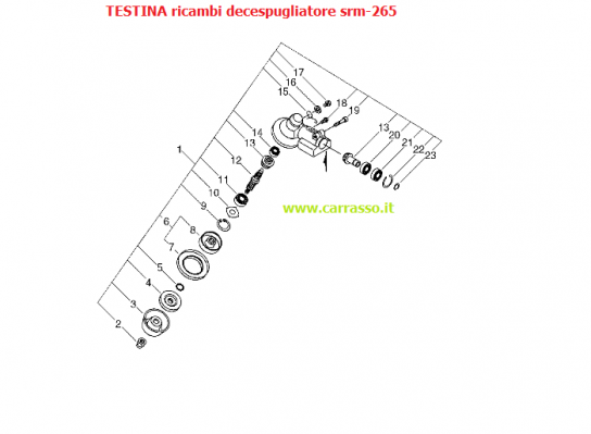 ./TESTINA_COMPLETA_54c20ec9c2d18