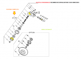 ./TESTINA_COMPLETA_5571805594413