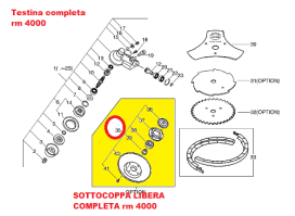 testinacompletarm40009