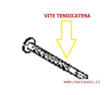 vitetendicatenacarrasso